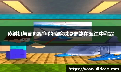 喷射机与南部鲨鱼的惊险对决谁能在海洋中称霸